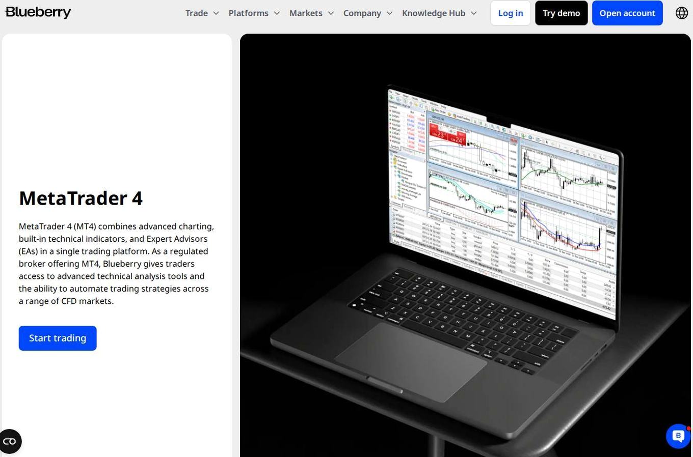 The platform page on the Blueberry Markets website